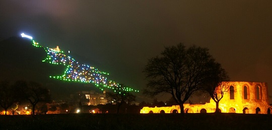 Albero di Gubbio