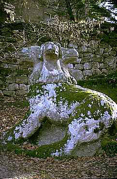 Bomarzo Cerbero