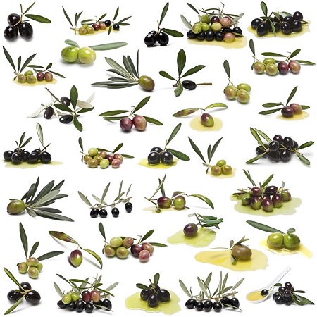 Varietà olive da 123rf
